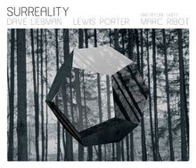 Surreality-Digi von Liebman, Dave | CD | Zustand gut