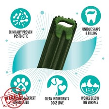 Dinovite Dental Chews Extra Small Dogs Mint 60ct