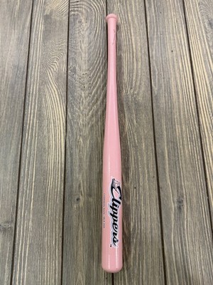 Coopersburg Sports MiLB Clippers Pink Mini Baseball Bat Souvenir Display 2009