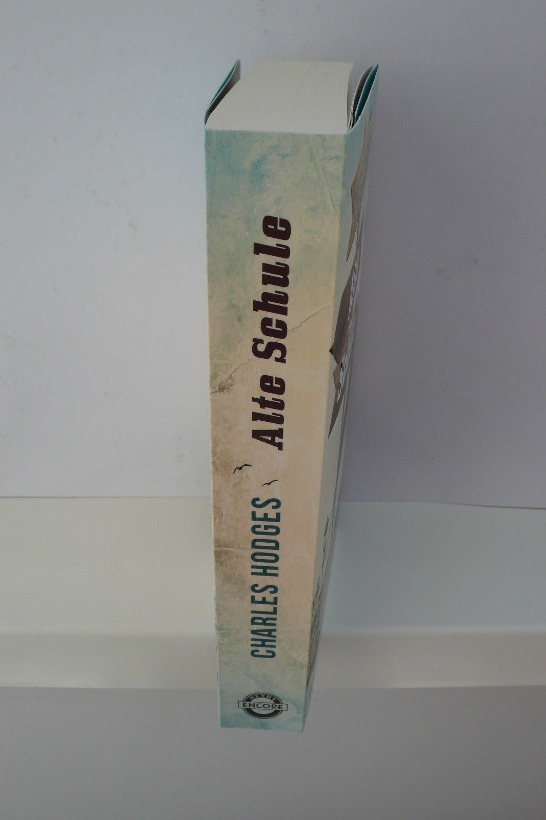 Thumbnail - Buch Alte Schule Charles Hodges Roman Taschenbuch Heyne Encore Book