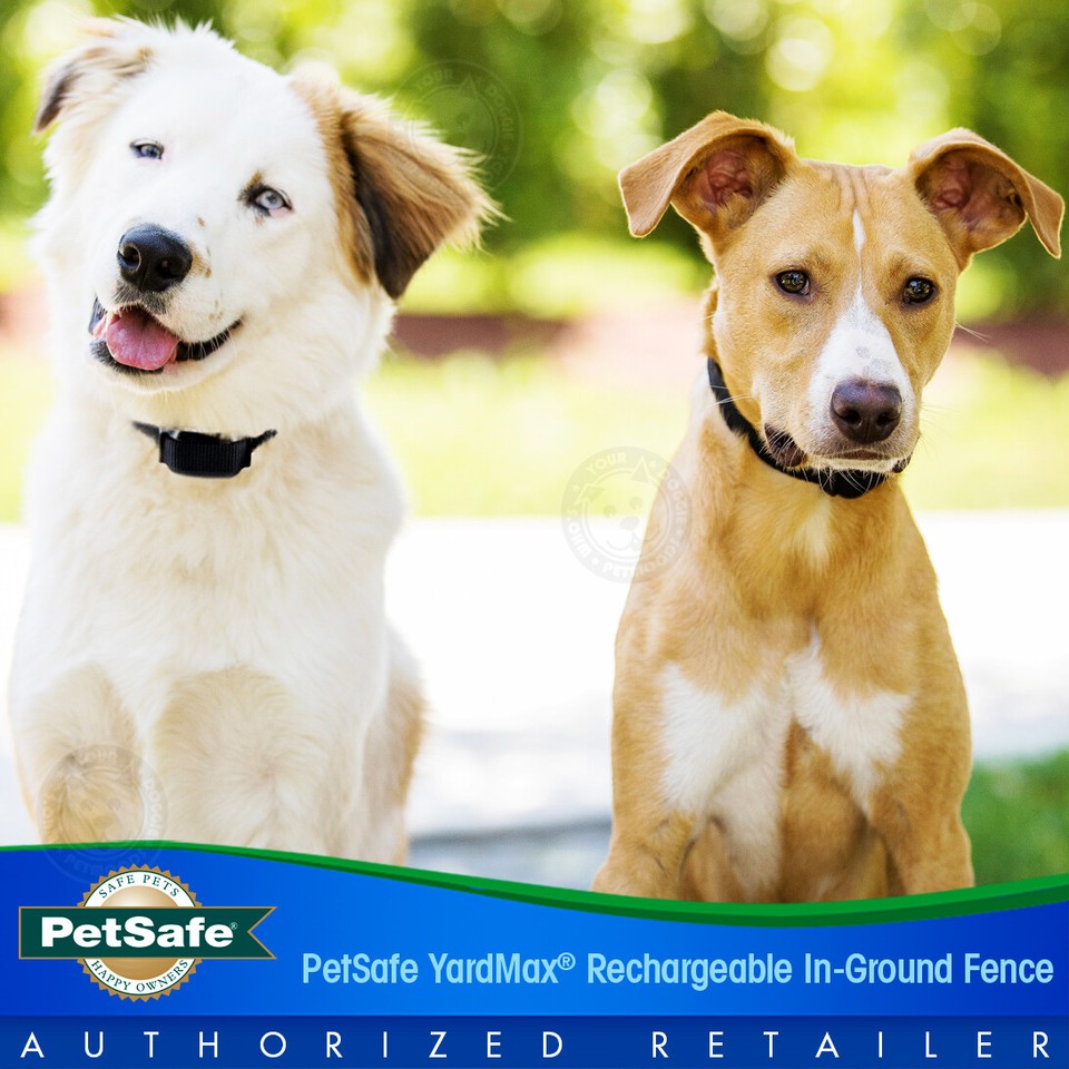 PetSafe YardMax Dog InGround Fence Transmitter, Collar, Flags & Surge