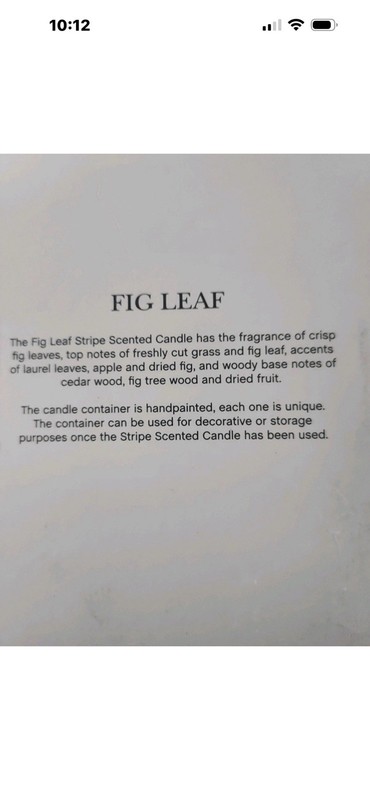 hay Fig Leaf Striped Scented Candle, Medium Wax Jar in Reusable Container Boxed