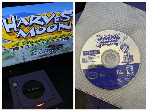 Harvest Moon: A Wonderful Life (Nintendo GameCube, 2004) disc only