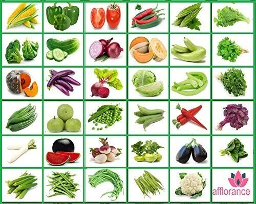 Fresh Vegetable Seeds for Home Gardening Vegetable Seeds for Outdoors-35 Variety - Picture 2 of 4