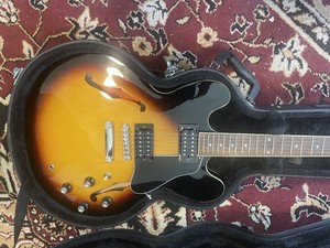 Epiphone 335 Case | eBay