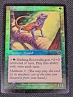 MTG FOIL Basking Rootwalla Torment Magic the Gathering MTG - LP -- L4