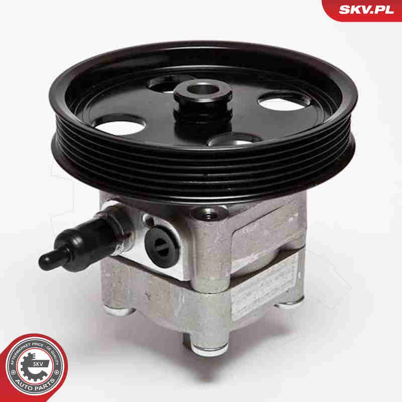 2x ✅Fits SKV GERMANY 10SKV092 POWER STEERING PUMP  ⭐UK Seller⭐