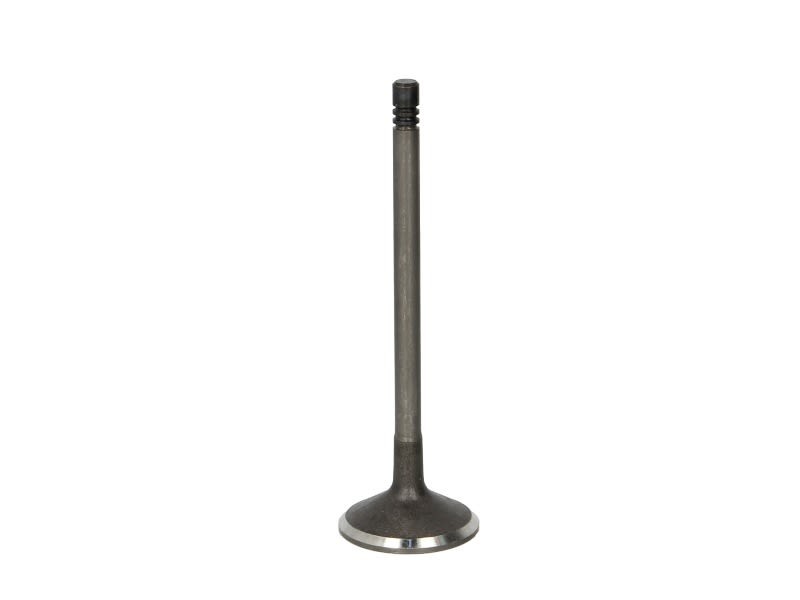 Soupape d'admission FRECCIA R6605/SNT résout les pertes de puissance VOLVO S70
