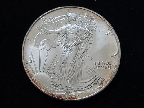 1993 $1 American Silver Eagle 1oz Fine Silver Coin NICE!