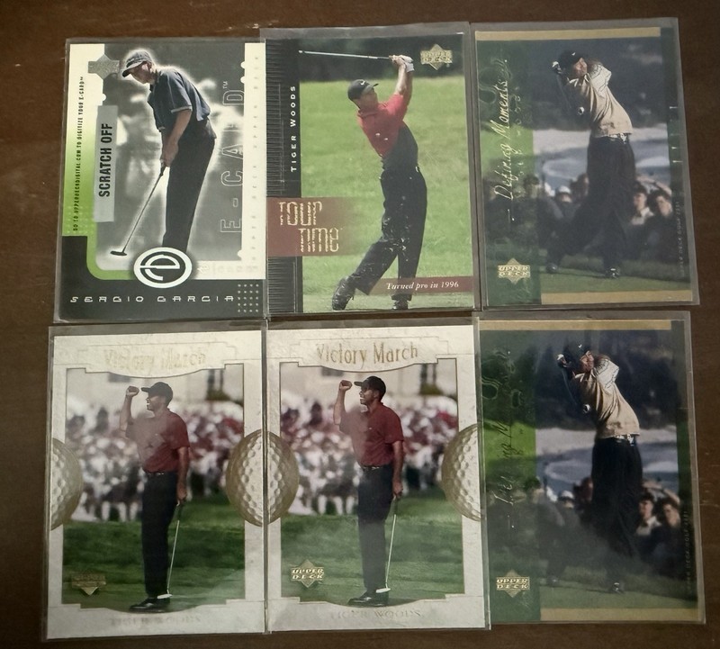 Tiger Woods Lot