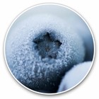 2 x Vinyl Stickers 20cm - Frozen Blueberries Fruit Winter Ice Cool Gift #21557
