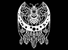 Bee Crystals 2 pcs 4 Inch White Fused Glass Decals