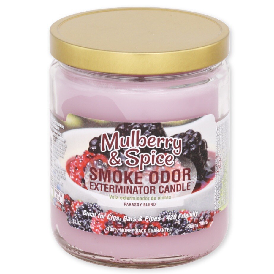 Smoke Odor Exterminator Candle Mulberry & Spice YearRound 13oz Jar
