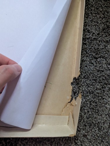 DND 1e BASIC RULES BOX SET 1 DUNGEONS & DRAGONS TSR 1011 - 5 GREEN DICE Vintage - Picture 12 of 12