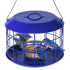 Bluebird Feeders for Outdoors Hanging, All Metal, Cage Mealworm Bird Feeder w...