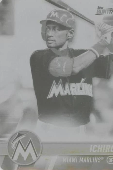 Printing Plate Yellow