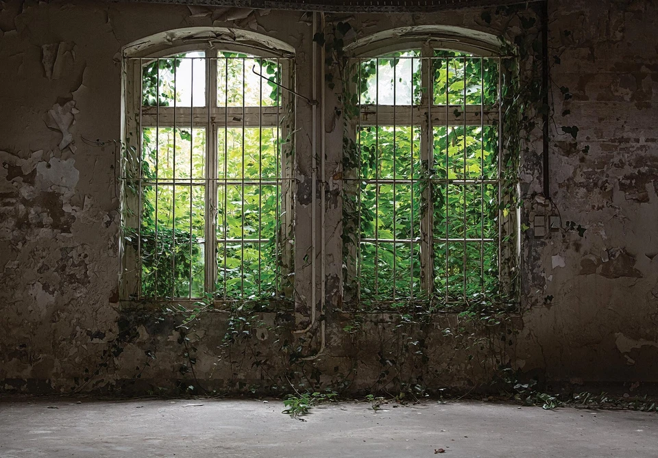 Fotomurale finestra vista finestra piante edera vecchio muro TESSUTO NON TESSUTO CARTA DA PARATI soggiorno - Immagine 2 di 4