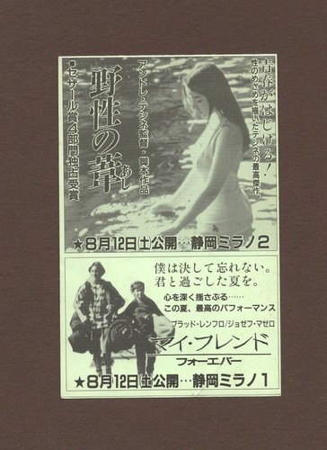 Wild Reeds 1994 RARE mini Chirashi flyer André Téchiné Élodie Bouchez Japan