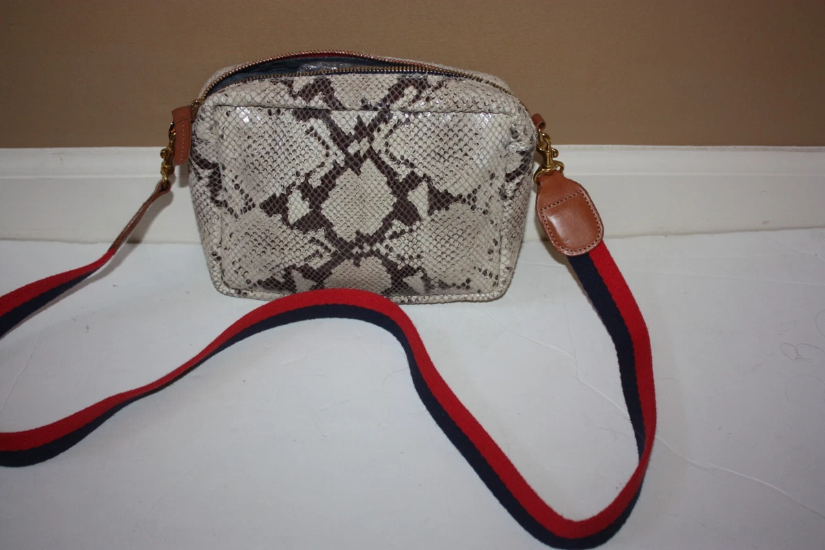 Clare sale v snakeskin