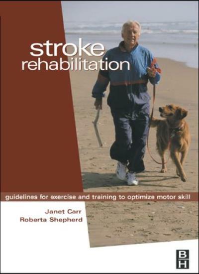 Stroke Rehabilitation: Guidelines for Exercise and Training to Optimize Motor.