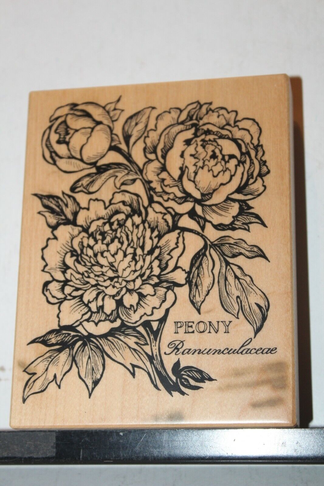 You're Invited Rubber Stamp PSX Place Date Time Phone RSVP Roses Flower  Border