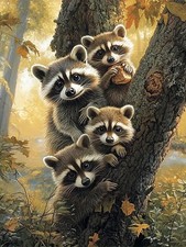 5D Diamond Art Kits for Adults Beginners, Raccoon Diamond Painting Kits, DIY Fu