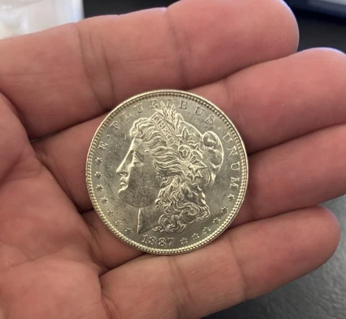 1887-P Morgan Dollar — photo from the most recent tracked eBay sale