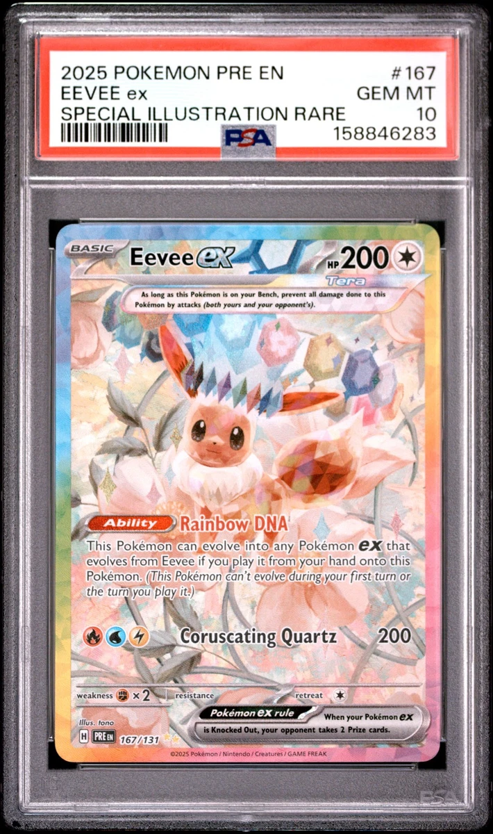 Preços baixos em Eevee Pokémon TCG Autenticador Esportivo