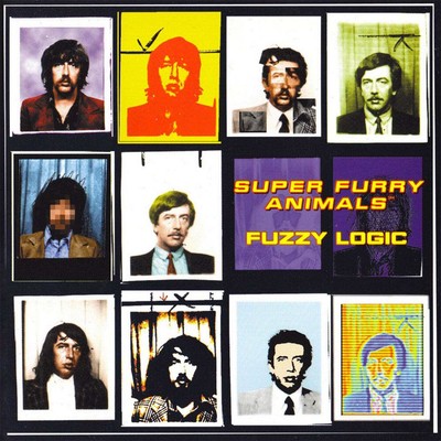 Super Furry Animals - Fuzzy Logic LP NEW