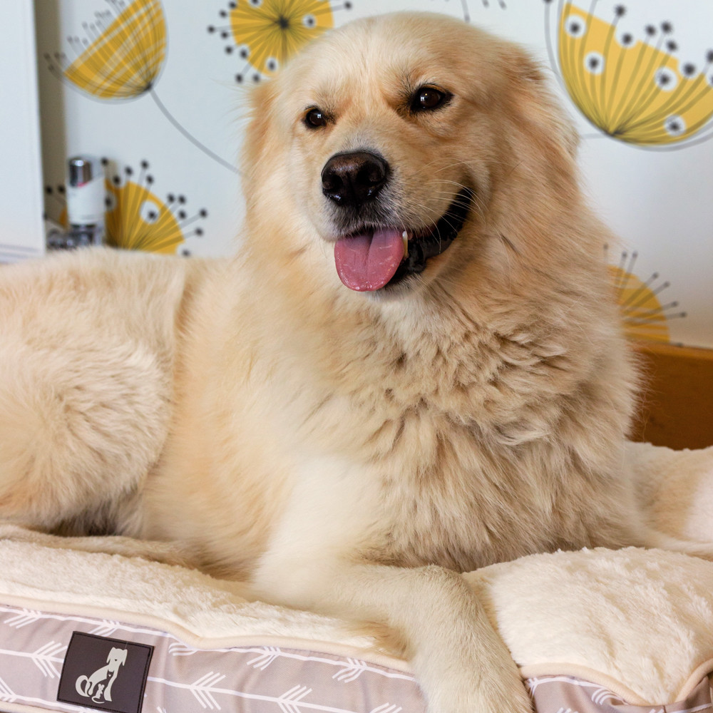 All Pet Solutions Bella Warm Luxury Dog Bed Reversible Cushion Mat