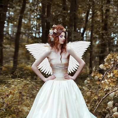 Ailes De Costume D'ange Déchu Ailes D'ange Noires Fiesta Republic