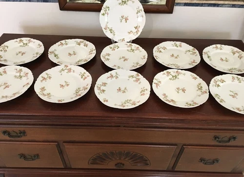 11 HAVILAND & CO FR LIMOGES FRONTENAC DESIGN ROSE/GRN/WHT PRE 1931  SALAD PLATES