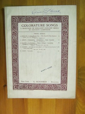 Le Beau Danube Bleu (The Blue Danube) Straus French/English 1900 Sheet Music