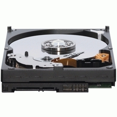 Western Digital 500 GB,Internal,7200 RPM,3.5'' (WD5000CSRTL) Hard Drive