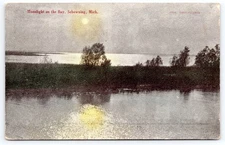 Sebewaing MI Moonlight On Saginaw Bay Lake Huron 1908 Hand Colored Postcard