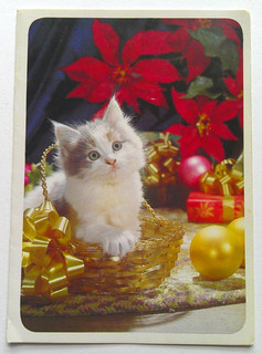 Kitten cat in basket vintage Christmas Greeting card #B33