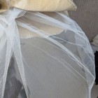 Bild 8 von 8
