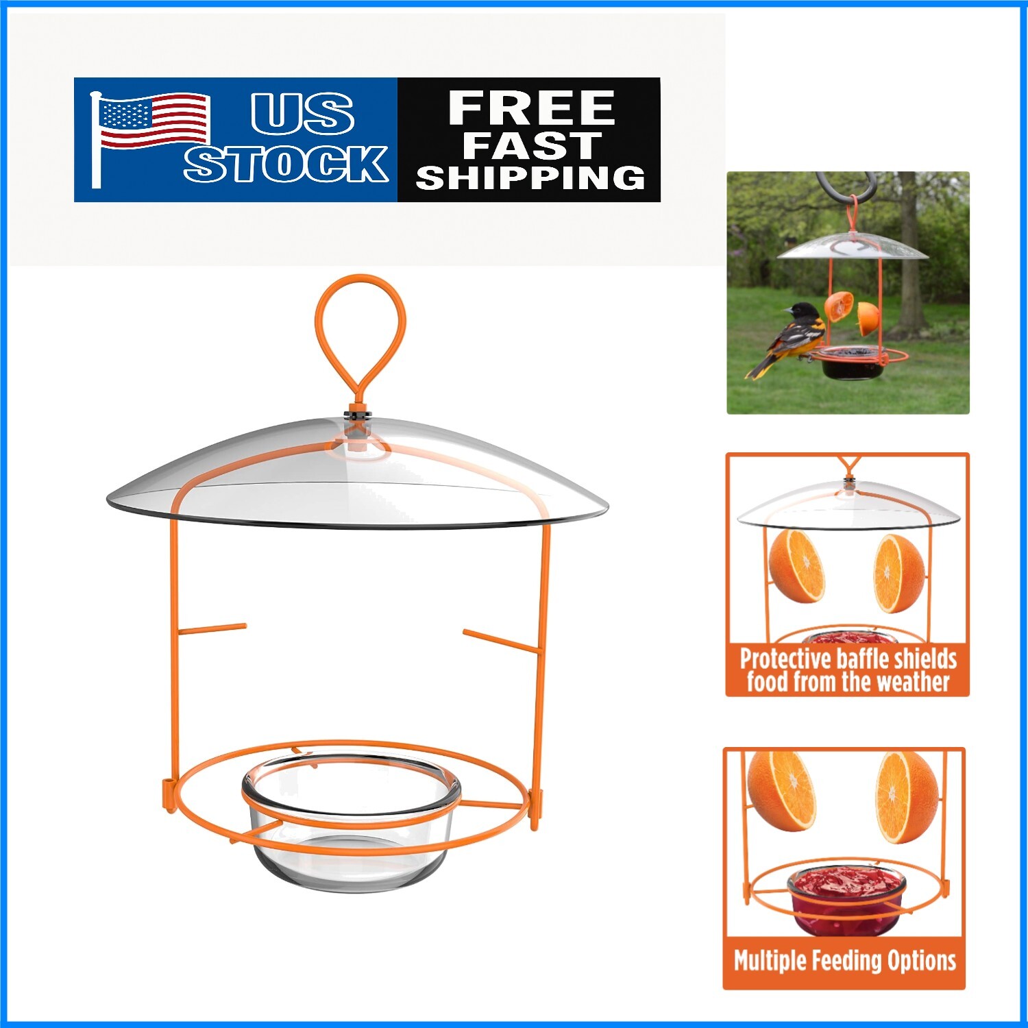Attract Beautiful Orioles with Our Durable 12 oz Wire Feeder - Ant Moat Included