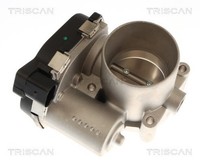 Drosselklappenstutzen Triscan 8820 29042 FüR VW Polo 4 Golf 6 5K1 5 6R1 6C1 AJ5