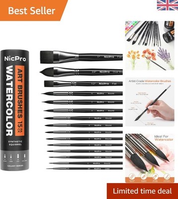 15-teiliges Künstlerpinsel-Set mit tragbarem Koffer - Ideal für Aquarell & Acryl