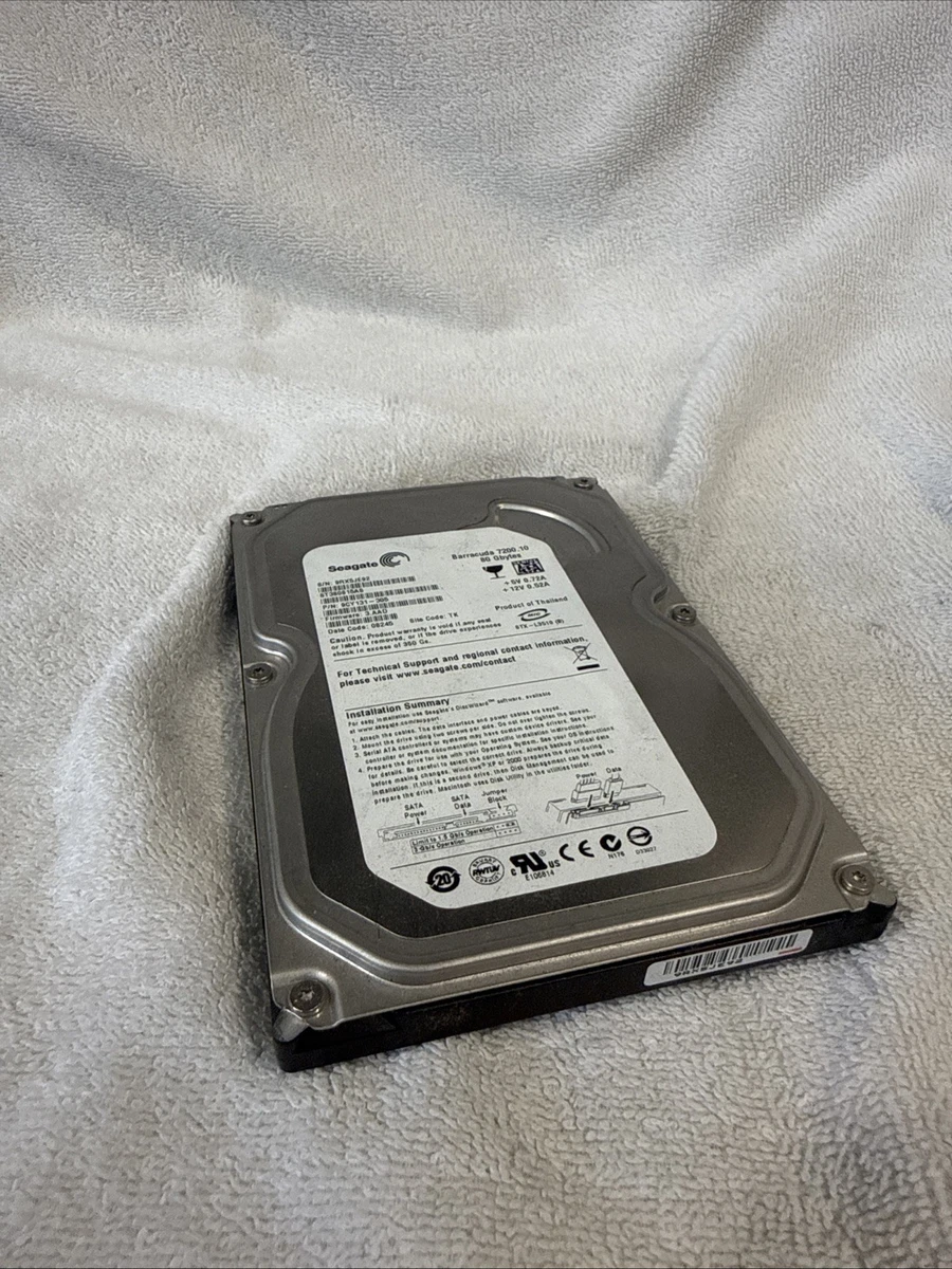 Seagate 80 GB Internal Hard Disk Drives for sale | eBay