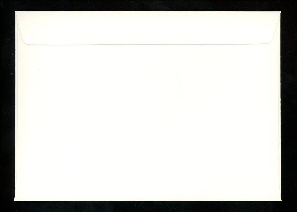 Postal History South Georgia #162-165 FDC WWF Teal Bird Animal 1992 Juego de 4 * Foto 4 de 4