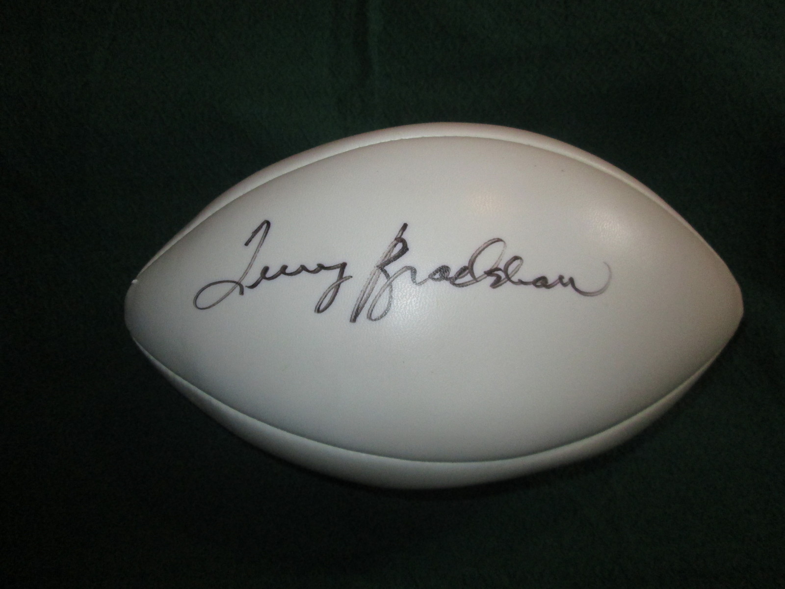 Notarized Terry Bradshaw NFL Autographed Signed Football Excellent Sports Souvenir 