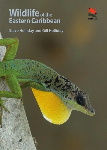 Wildlife of the Eastern Caribbean by Steve Holliday Paperback Book - Picture 1 of 1