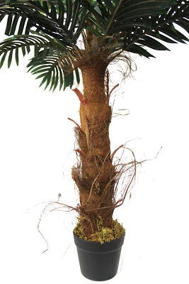 Knstliche Palme 100 cm wie echt Kunstpalme Kunstpflanze knstliche Pflanze  | eBay.de