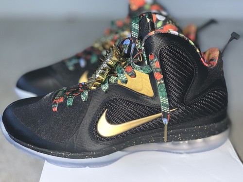 Nike Lebron IX 9 OG DS size 11 Watch 