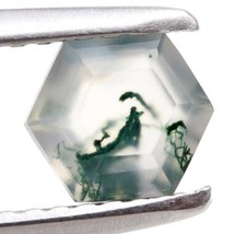 Top Quality Moss Agate Excellent Cut Hexagon 5X5mm Wholesale Gemstone 0.50 Ct.
