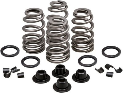 Kibblewhite Precision Valve Spring Kit Beehive .660 20-21500 New
