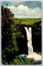 VTG Chrome Rainbow Falls Scarlet African Tulip Trees Hilo Hawaii Postcard