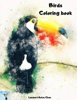 Birds Coloring Book | Lamber Aston Chen | Taschenbuch | Kartoniert / Broschiert